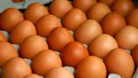 Una foto de archivo de huevos de gallina