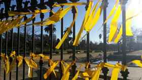 Lazos amarillos en el Parque de la Ciutadella, donde una mujer rusa sufrió una paliza en 2018 / CG