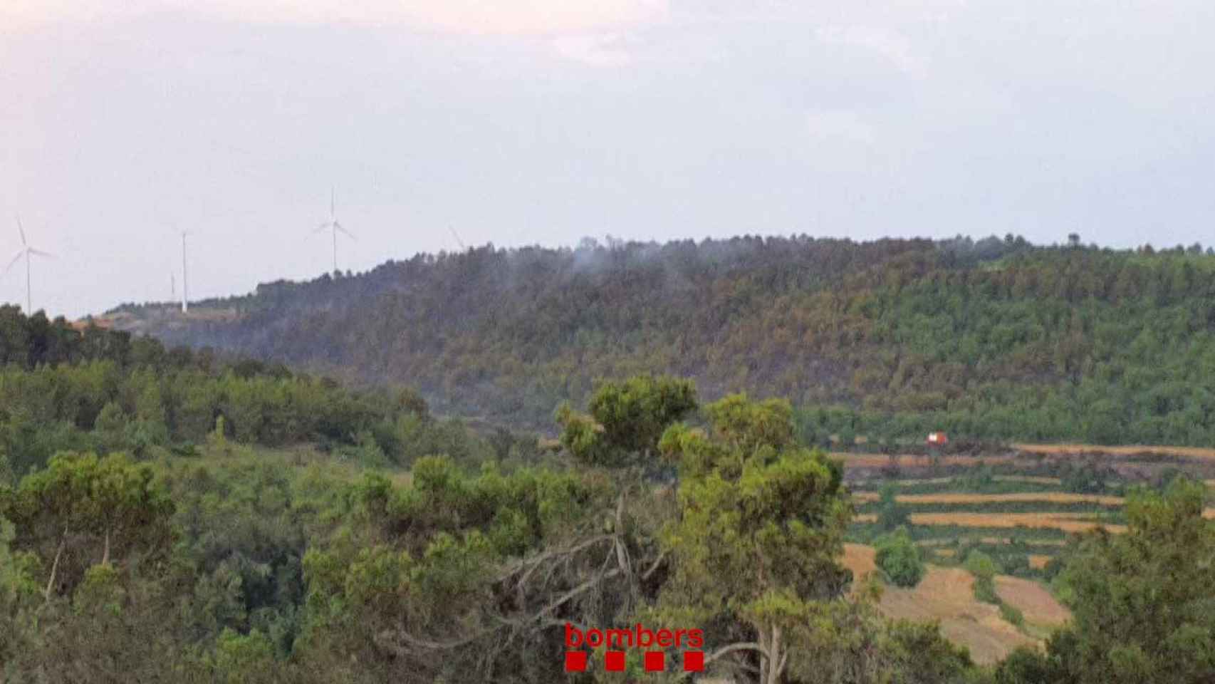Una imagen del incendio en Vallbona de les Monges, ya controlado / BOMBERS