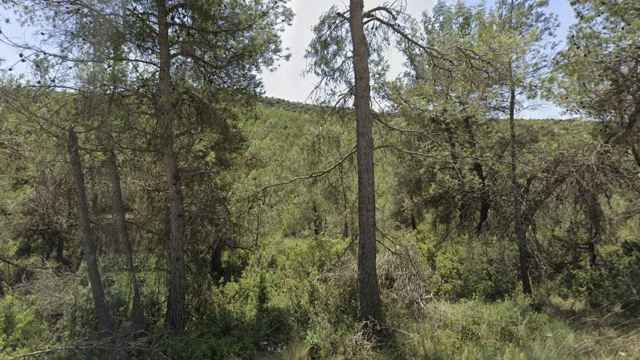 Paraje de las sierras de Ordal / MAPS