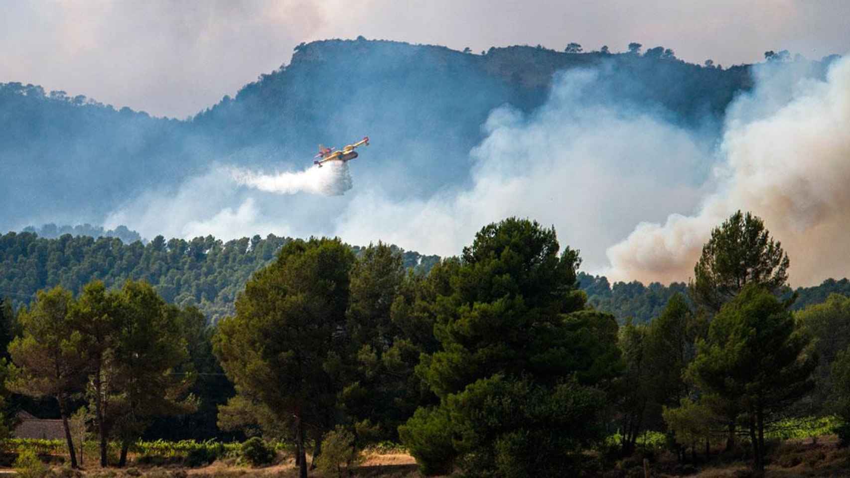 Imagen de un medio aéreo descargando agua sobre el incendio de Santa Coloma de Queralt / EP