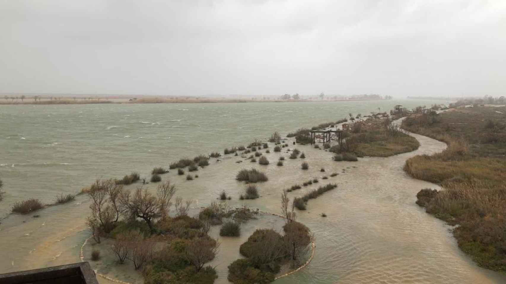 Inundación en el Delta de l'Ebre por las precipitaciones del temporal Gloria / TWITTER