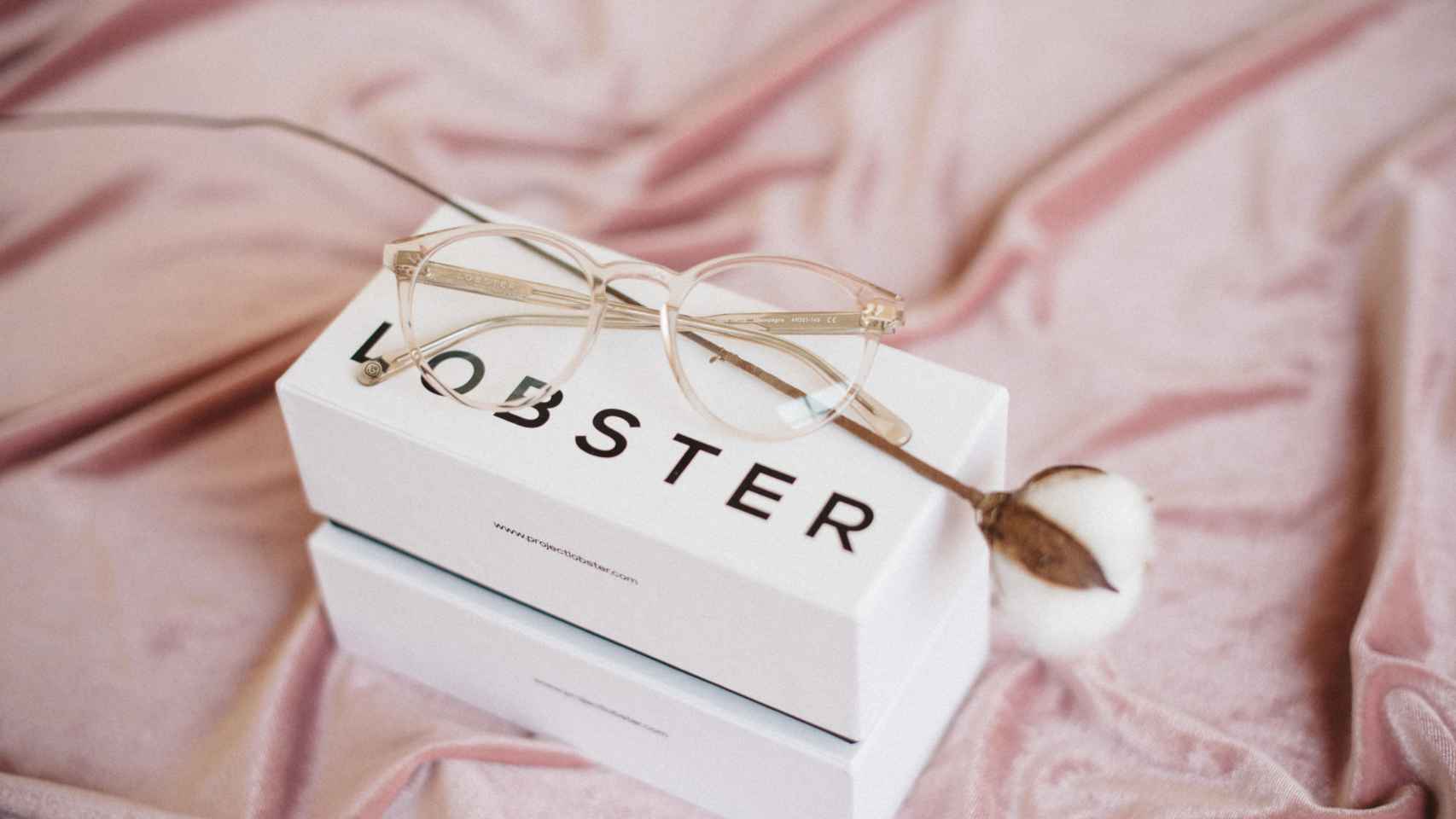 Lote de promoción de los productos de Project Lobster / PROJECT LOBSTER