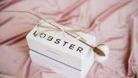 Lote de promoción de los productos de Project Lobster / PROJECT LOBSTER