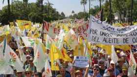El sector olivarero ya logró reunir a 20.000 personas en su manifestación de julio en Sevilla / EUROPA PRESS