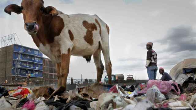 Una imagen de archivo de Nairobi, en el que se ve la miseria que sufre el país