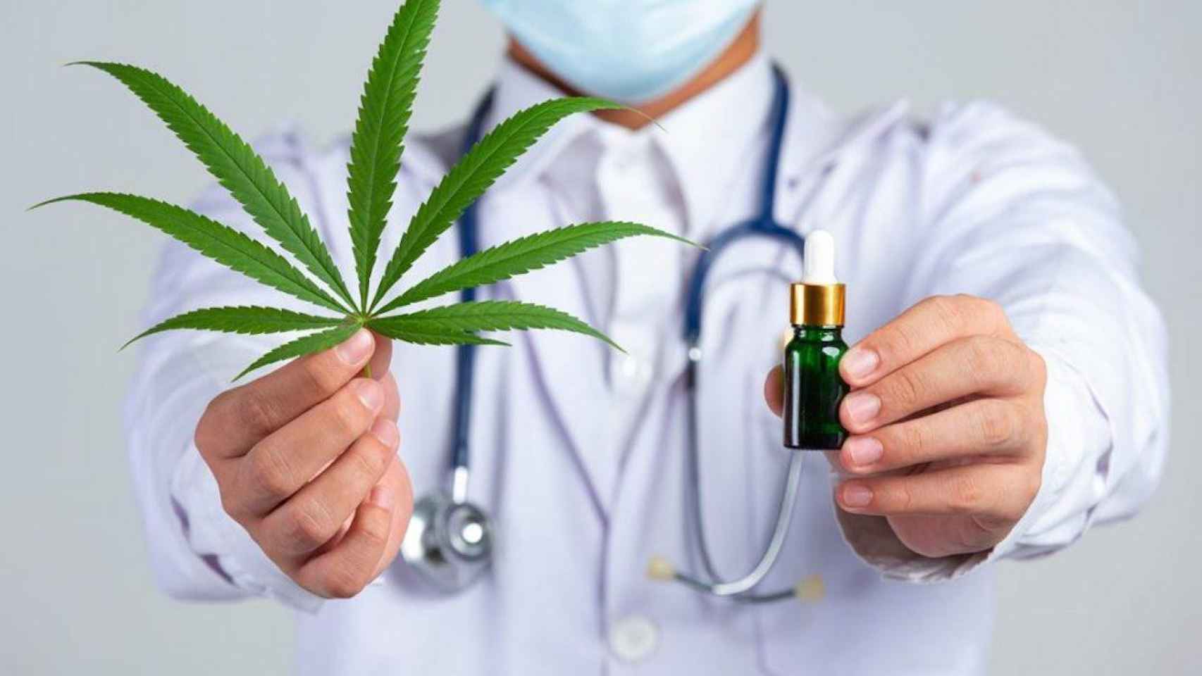 Doctor muestra una planta de cannabis y aceite de CBD