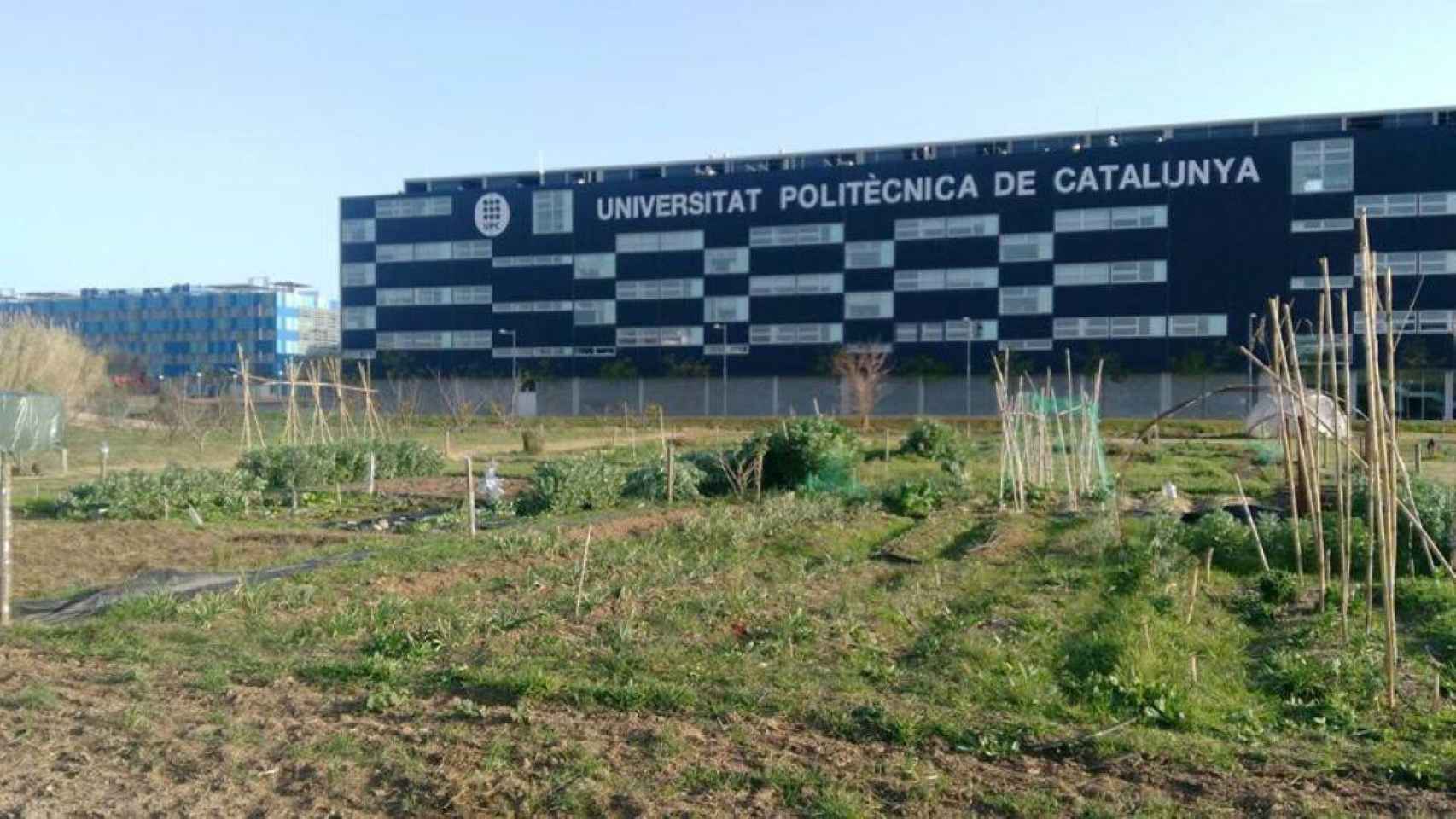 Edificio de la Universidad Politécnica de Cataluña, que avisa de una posible cuarta ola / UPC