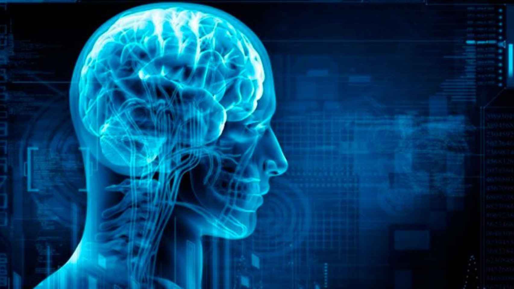 Un grupo de investigadores japoneses investiga cómo reducir los daños cerebrales de un ictus.