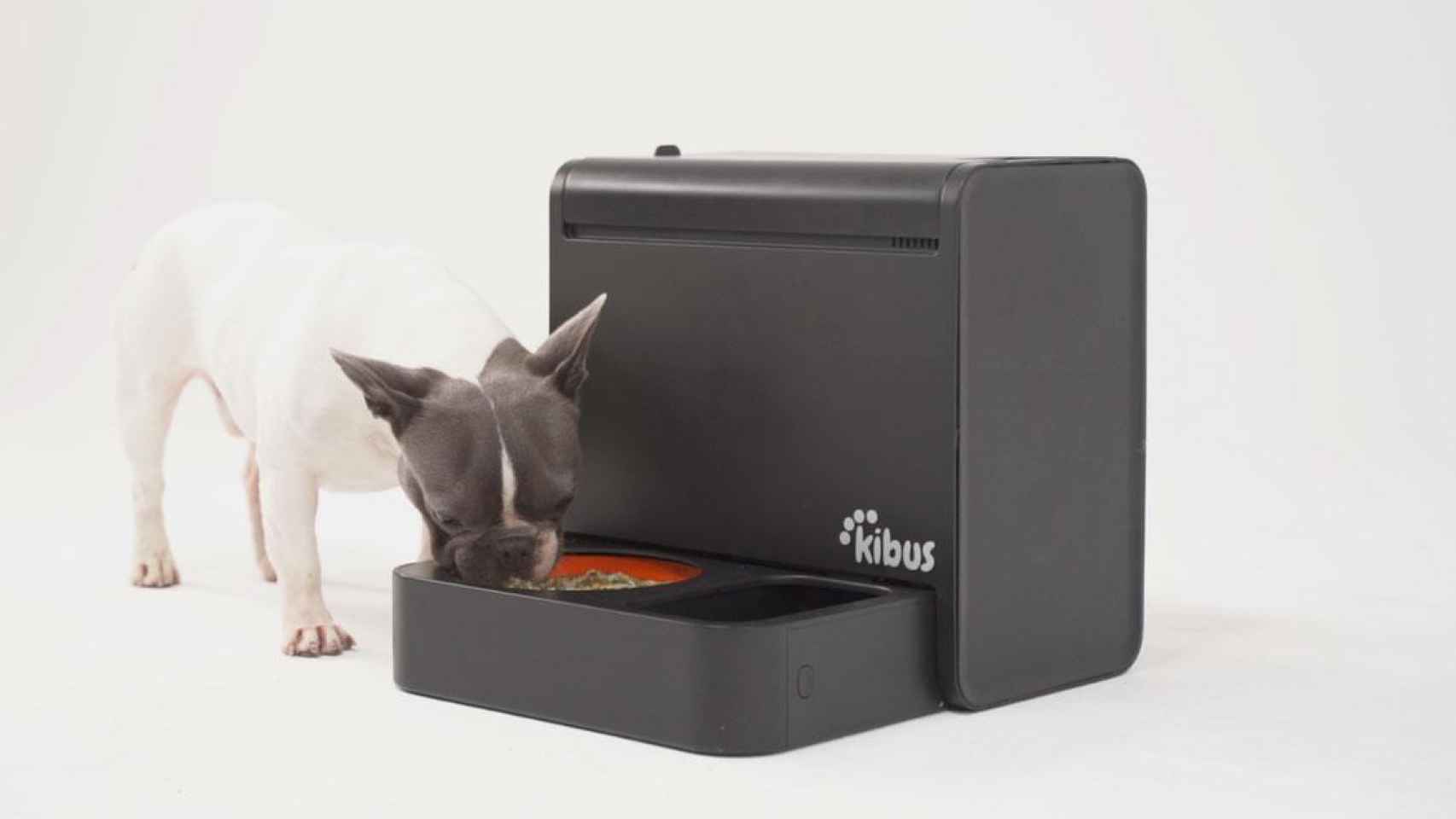 Dispensador de comida para mascotas desarrollado por Kibus / KIBUS