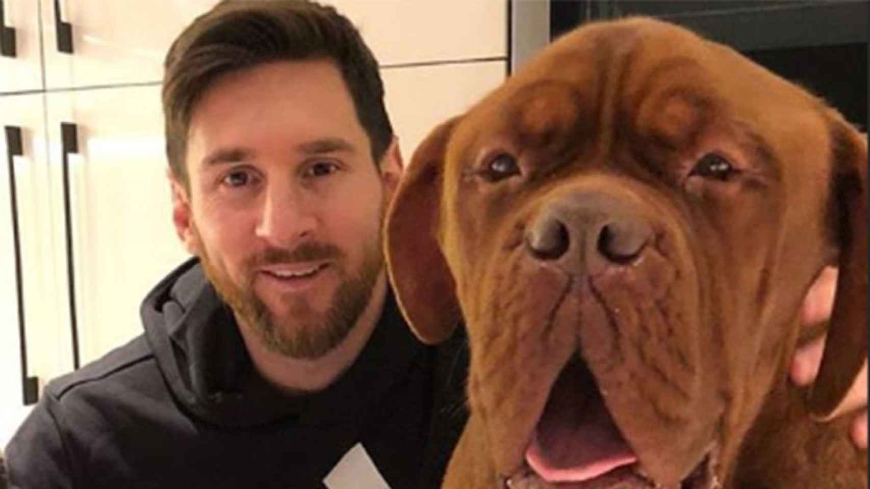 Messi y su perro Hulk / INSTAGRAM