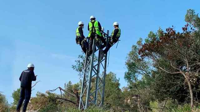 Varios trabajadores trabajan en una red eléctrica