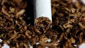 Un cigarrillo rodeado de tabaco tratado / EFE