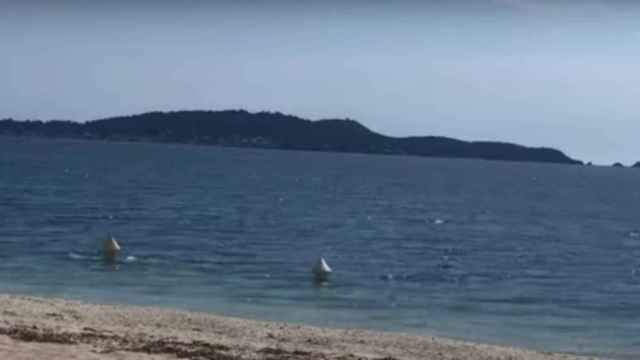 Dos bañistas se hacen pasar por boyas para bañarse en el mar / YOUTUBE