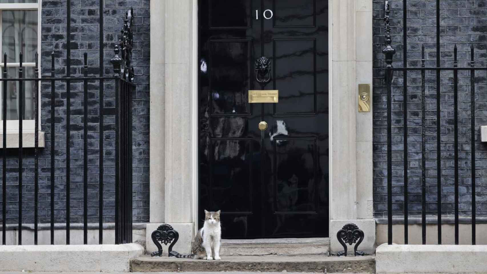 El gato Larry en Downing Street, Londres / TOLGA AKMEN - EPA