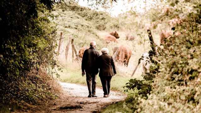 Una pareja de ancianos da un paseo por el monte / CG
