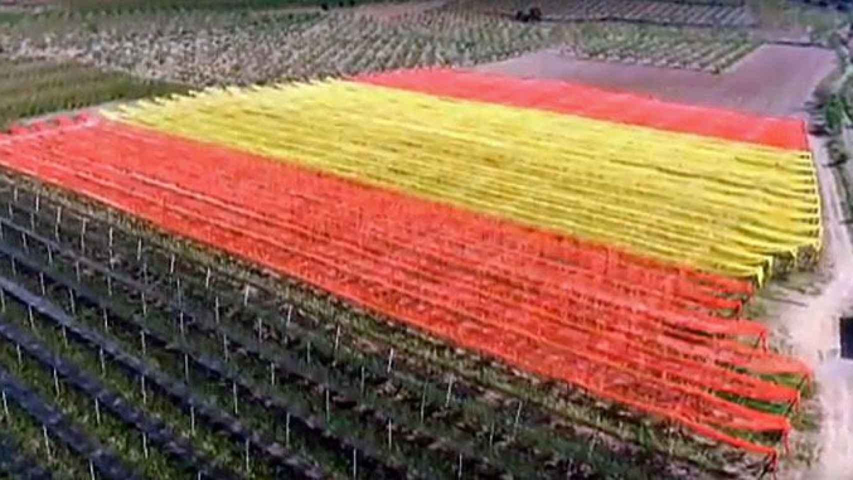 Un agricultor de Zaragoza forma una bandera de España de 22.000 m2
