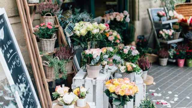 Una de las floristerías que no te puedes perder de Barcelona / Roman Kraft EN UNSPLASH