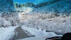 Una de las carreteras de Cataluña cubiertas de nieve / TRÁNSIT