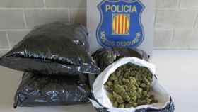Marihuana en posesión del detenido / MOSSOS