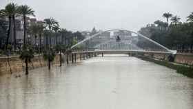 El río Segura, en su paso por Murcia, donde ha alcanzado los 100 metros cúbicos por segundo debido al temporal / EFE
