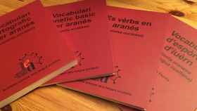Inmersión en Aran. Libros de aprendizaje del aranés, reconocida como una variante del occitano, en una imagen de archivo / CONSELH GENERAU D'ARAN