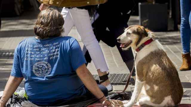 El 74% de las personas sin hogar considera a su perro su principal apoyo social según un estudio / FAADA