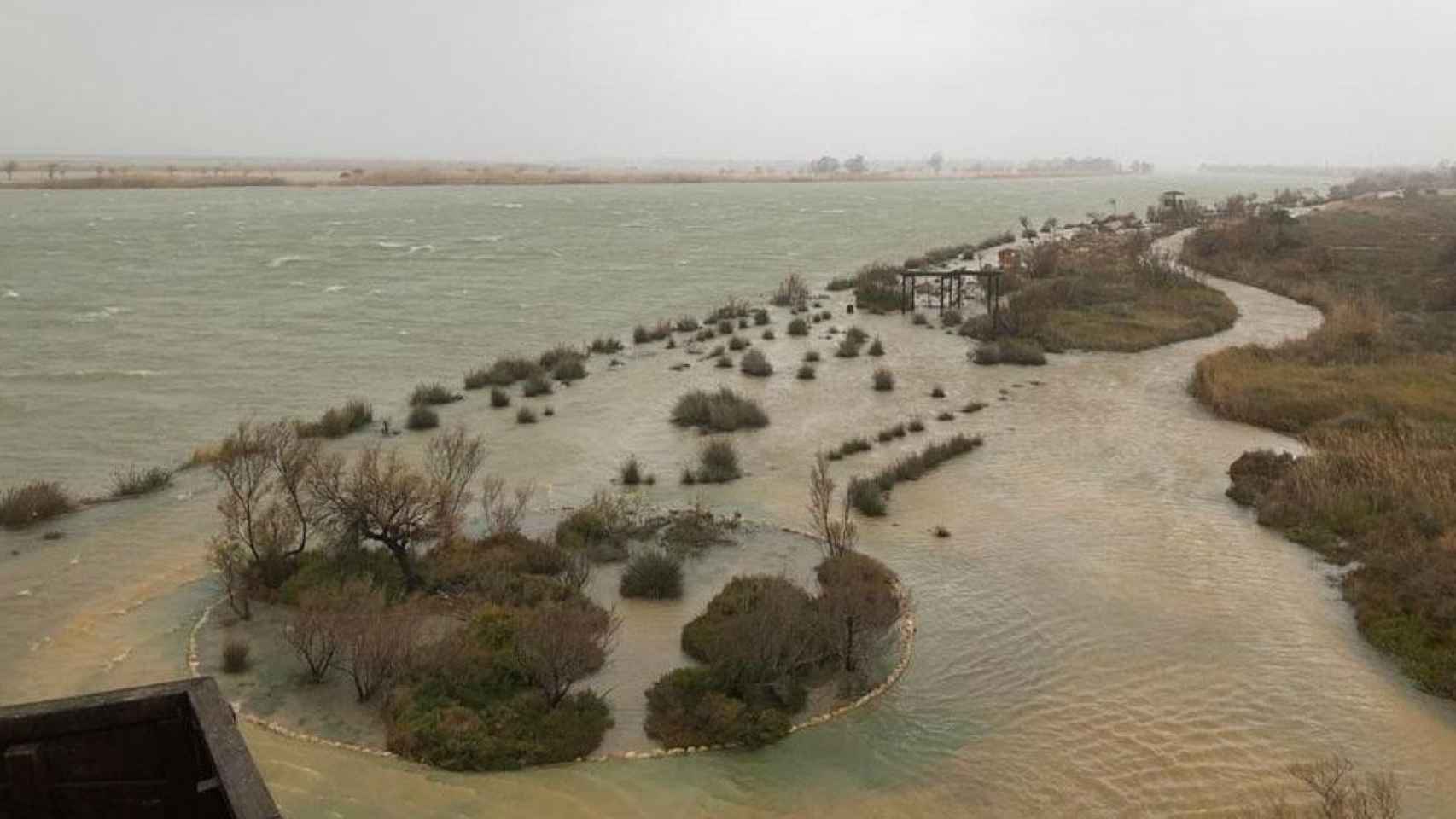 Inundaciones en el delta del Ebro por el temporal Gloria / TWITTER