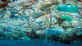 Una foto de plásticos en el Mar Mediterráneo