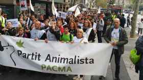 Centenares de personas desfilaron por las calles de Barcelona en contra de las corridas de toros tras la sentencia del Tribunal Constitucional. / PACMA