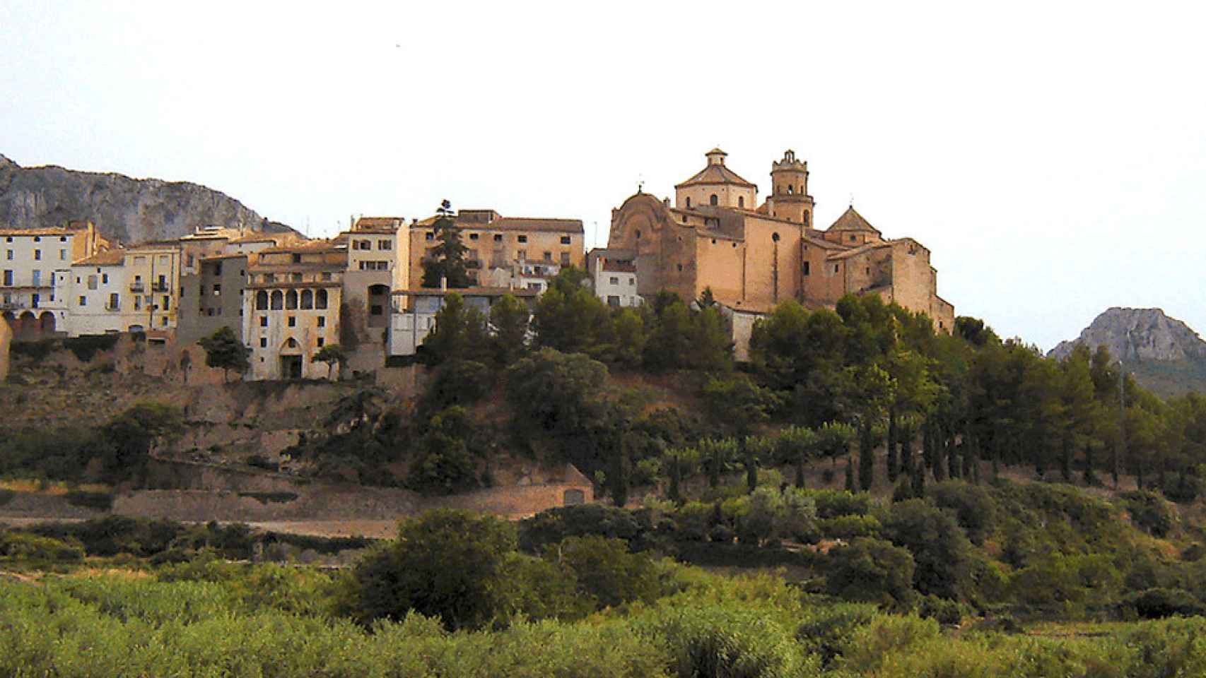 Vista de la localidad de Tivissa