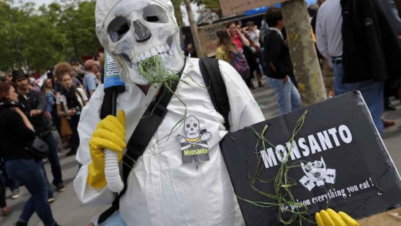 Un manifestante participa en una protesta contra la empresa agroquímica Monsanto en París / FT.COM