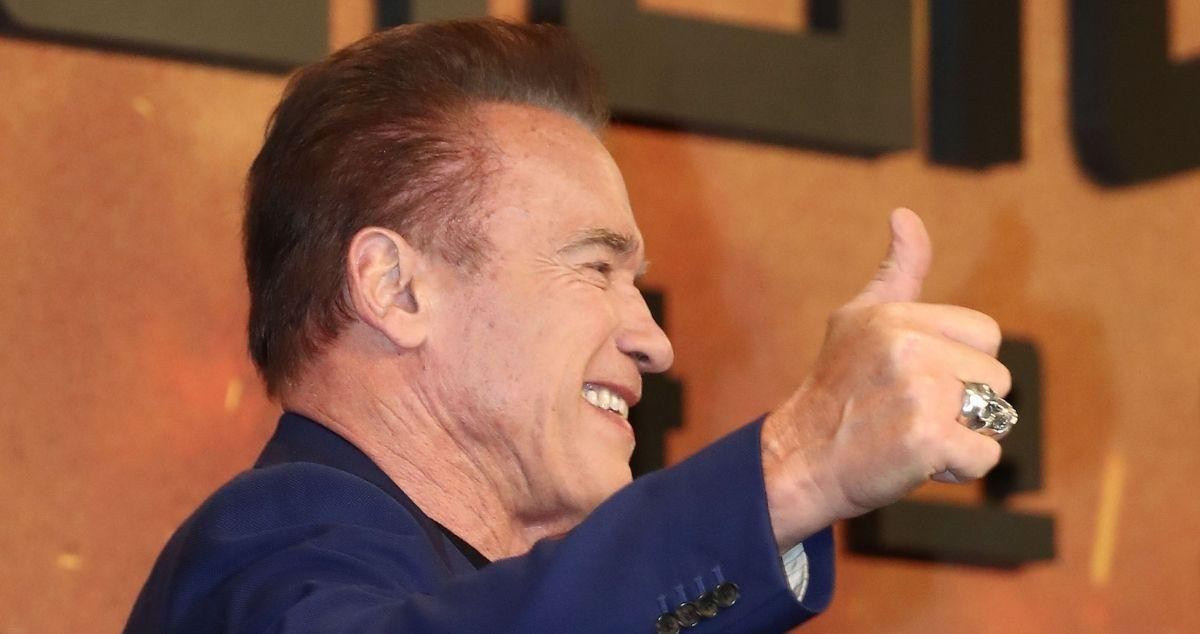 El actor Arnold Schwarzenegger / EP