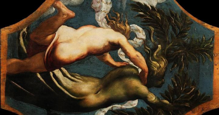 La tabla ‘Apolo y Dafne’ ejecutada por el pintor para decorar el Palazzo San Paterniano de Venecia.