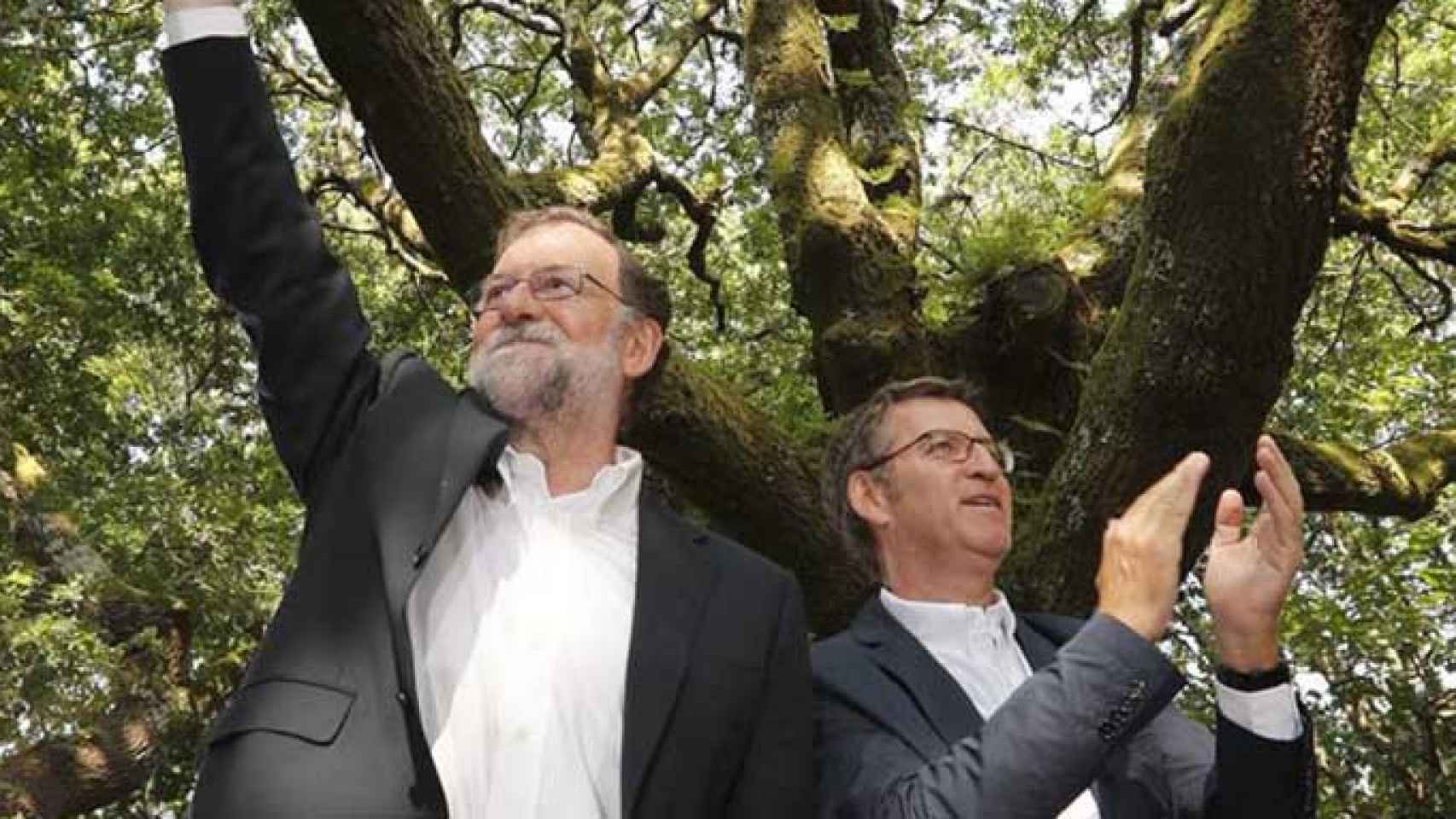 El presidente del Gobierno, Mariano Rajoy y el presidente de la Xunta, Alberto Núñez Feijóo, saludan al comienzo del acto de inicio del curso político en Pontevedra / EFE