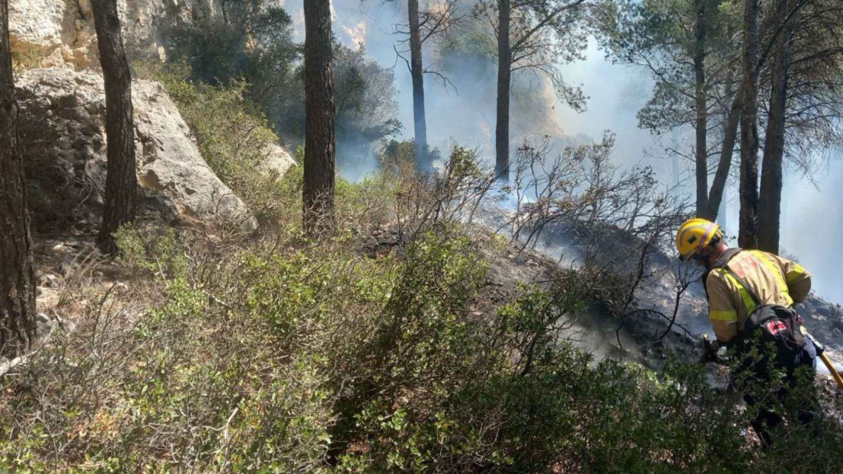 Los Bomberos de la Generalitat trabajan para extinguir el incendio en Gandesa (Tarragona) / BOMBERS