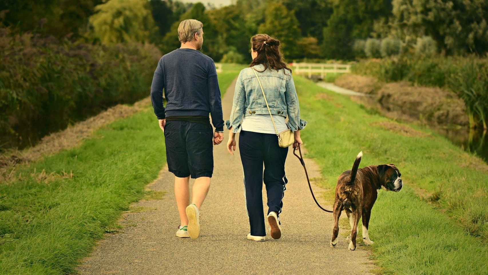Una pareja pasea a su perro en un parque / CG
