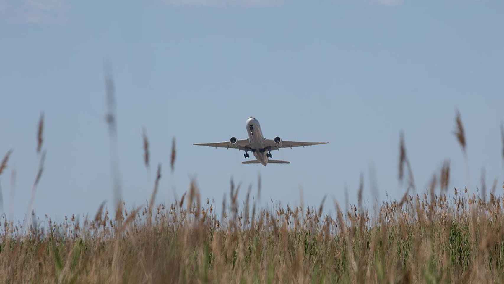 Un avión despega desde el aeropuerto de El Prat, cerca del espacio protegido natural de La Ricarda