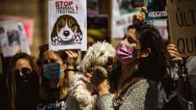 Manifestación en Barcelona por el cierre de Vivotecnia y la liberación de los perros beagle que exige Pacma / EUROPA PRESS