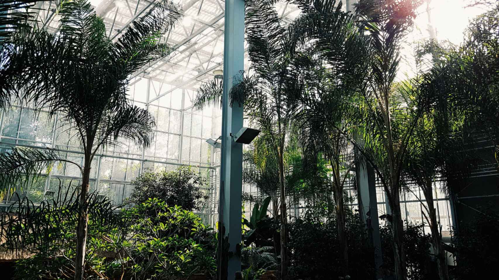 Jardín botánico en Costa Brava / PEXELS