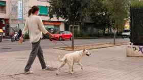 Una mujer paseando a un perro por la calle / EUROPA PRESS