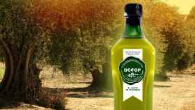 Botella de aceite de oliva virgen extra de la marca Dcoop