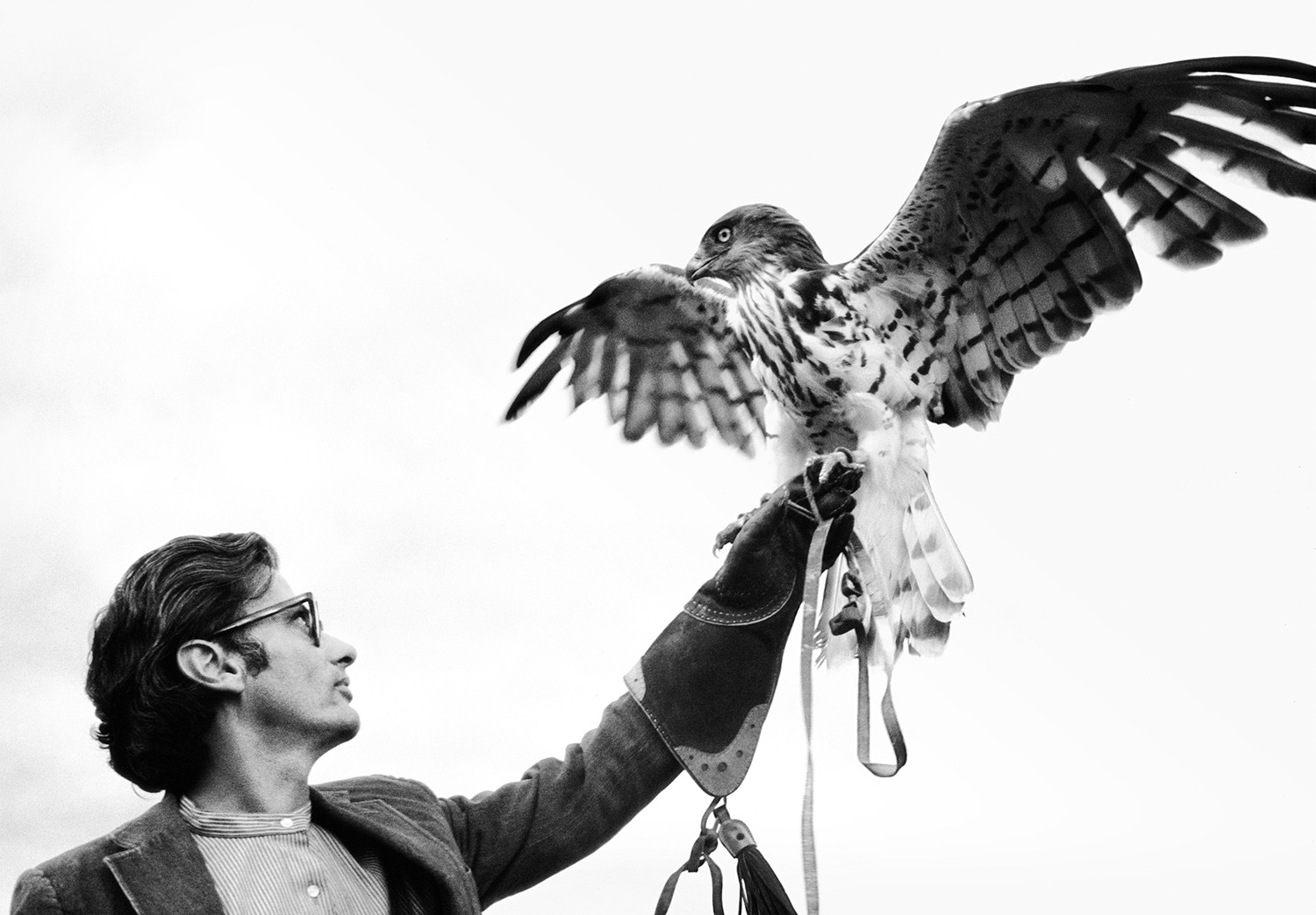Avedon sujetando un águila en Irlanda, 1969 / GIDEON LEWIN