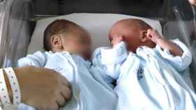 Dos mellizos recién nacidos / EFE