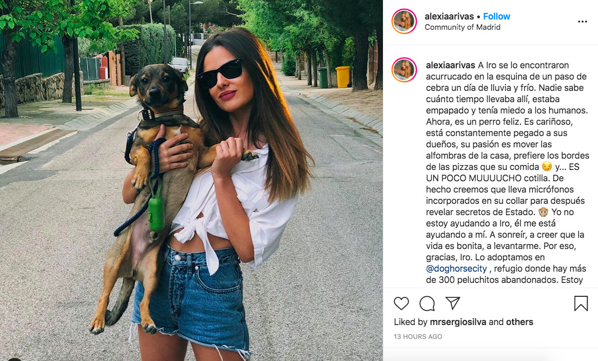 Alexia Rivas se refugia en su perro durante la polémica del 'Merlos Place' / INSTAGRAM