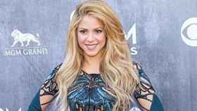 Shakira en un evento / EFE