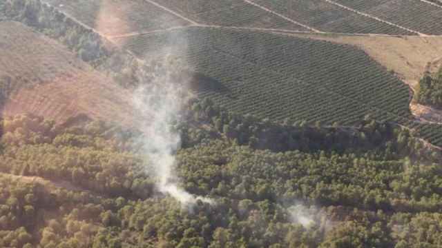 Algunos de los focos del incendio que ha sido estabilizado este domingo en el interior de Tarragona / BOMBERS