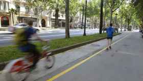 Carril bici de Barcelona / FLICKR