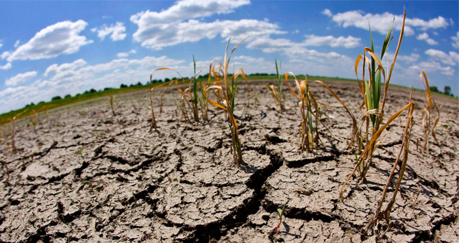 La sequía es una consecuencia de los cambios climáticos / CG