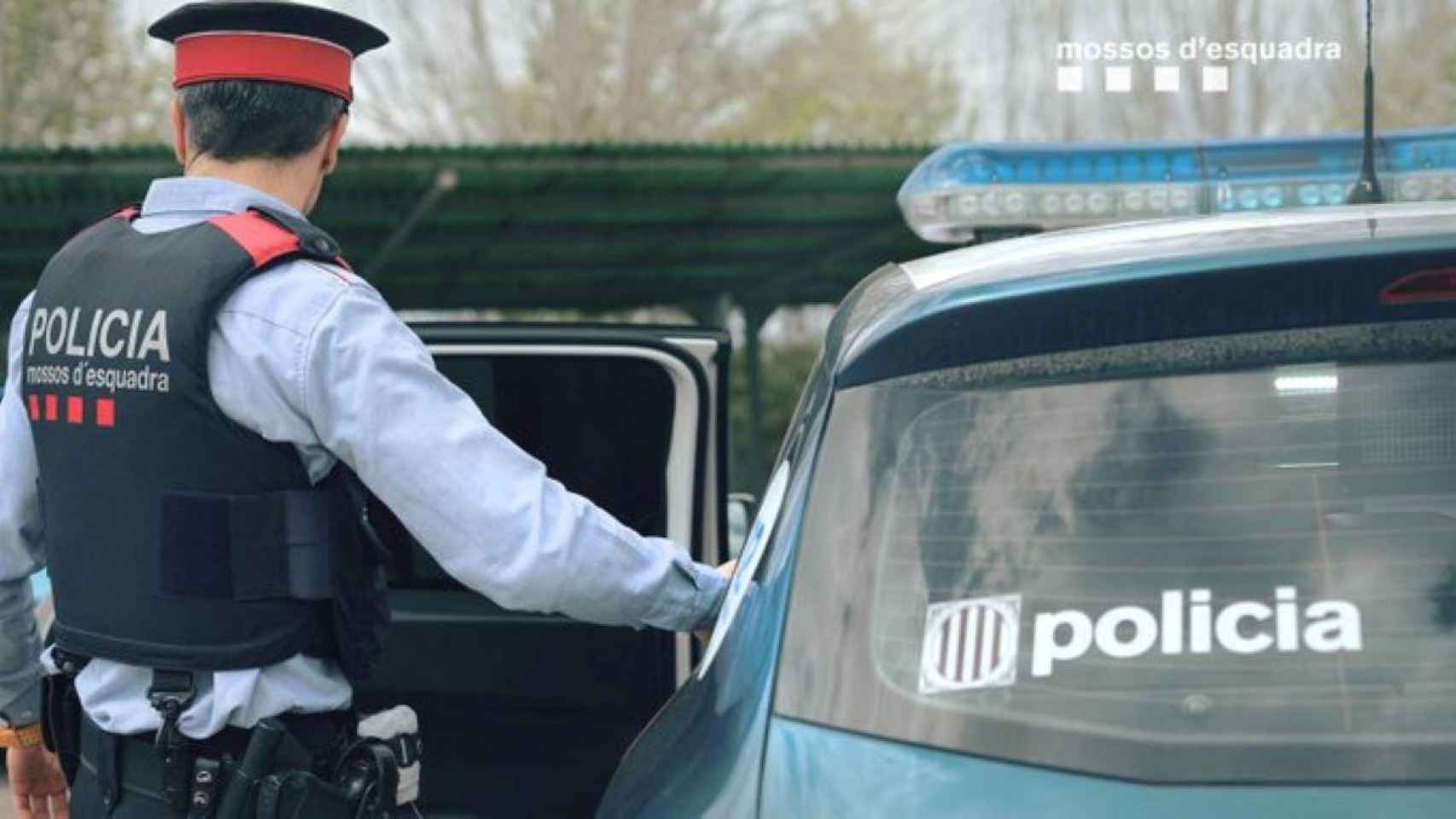Un agente de los Mossos vigila a un detenido en el coche policial: cuatro personas han sido arrestadas cuando robaban en una casa de Avinyonet de Puigventós  / MOSSO D'ESQUADRA